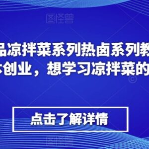 李记精品凉拌菜热卤教程 零基础小本创业开店技术学习-雨叶虚拟资源网