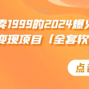 2024正规宝妈粉回收变现项目详解 附全套玩法及配套软件-雨叶虚拟资源网