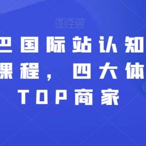 阿里巴巴国际站认知与直通车实操课程 四大体系打造行业TOP商家-雨叶虚拟资源网