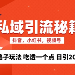 私域流量精准获客实操方法 吃透核心玩法可实现日引流200+-雨叶虚拟资源网