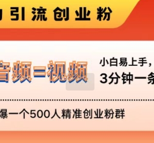 抖音创业粉安全引流方法 3分钟做视频单日可加满500人精准群-雨叶虚拟资源网