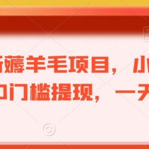 无门槛看广告赚红包项目解析 小白零成本上手单日收益超百元-雨叶虚拟资源网