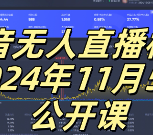 2024抖音无人直播核心玩法公开课 小白可上手搭建睡后收入管道-雨叶虚拟资源网