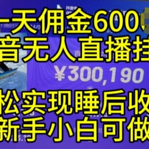 2024年11月抖音无人直播带货玩法 小白可做的24小时管道收益项目-雨叶虚拟资源网