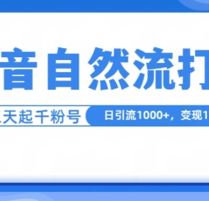 抖音自然流引流实操打法 单视频十万播放日引千粉变现教程-雨叶虚拟资源网