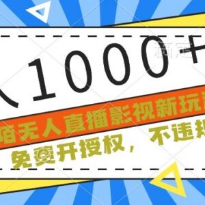 陌陌影视无人直播正规新玩法 免费开授权不违规单场收入超千元-雨叶虚拟资源网