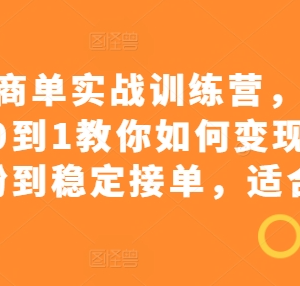 小红书商单变现实战教程 新手从起号涨粉到稳定接单全指南-雨叶虚拟资源网