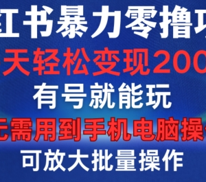 小红书零撸变现项目实操攻略 无需设备有号即可参与可批量放大-雨叶虚拟资源网