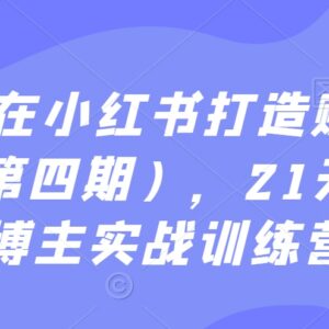 21天小红书博主实战训练营 从0到1打造可变现个人IP全流程-雨叶虚拟资源网
