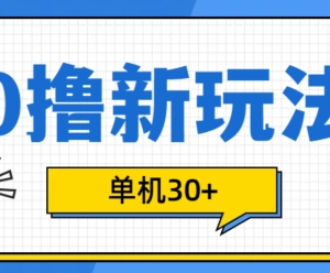 2024低门槛手机0撸项目玩法 可批量操作单机日收益30+-雨叶虚拟资源网