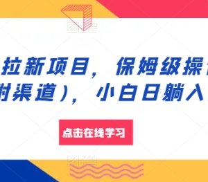 2024APP拉新项目保姆级操作教程 附正规渠道小白零成本可做-雨叶虚拟资源网
