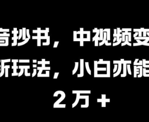 2024抖音抄书中视频变现玩法 零基础小白零粉即可操作盈利-雨叶虚拟资源网
