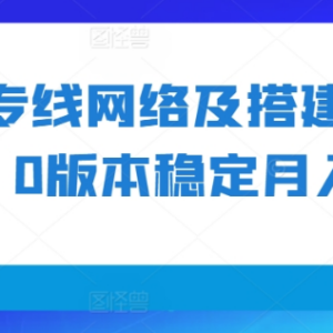 专线网络搭建变现1.0项目解析 稳定月入2W+实操方法揭秘-雨叶虚拟资源网