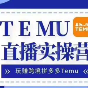 2024 Temu跨境实战运营课程 零基础入门出海赚美金实操方法-雨叶虚拟资源网