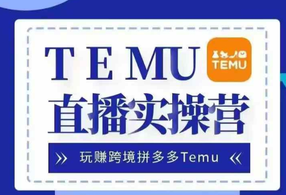 2024 Temu跨境实战运营课程 零基础入门出海赚美金实操方法