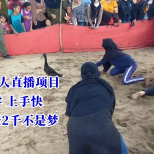 冷门爆款无人直播项目实操指南 附配套工具素材易上手变现快-雨叶虚拟资源网