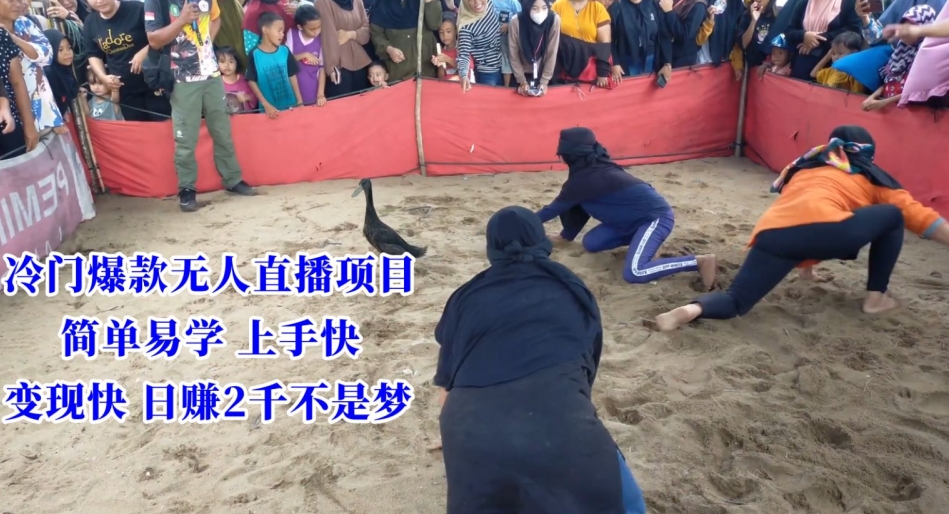 冷门爆款无人直播项目,简单易学上手快,变现快日赚2千不是梦【揭秘】