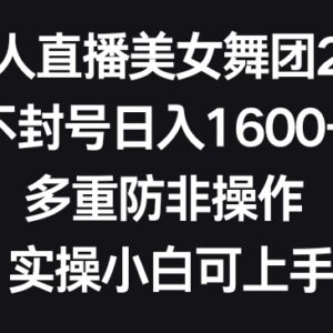 无人直播美女舞团2.0实操教程 防封号玩法新手小白可轻松上手-雨叶虚拟资源网
