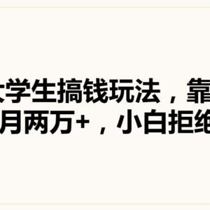 适合大学生的知识掘金副业玩法 小白易上手月入可达两万-雨叶虚拟资源网