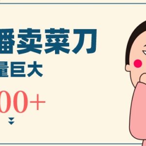 冷门品无人直播新玩法分享 直播卖菜刀日入千元项目揭秘-雨叶虚拟资源网