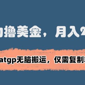 ChatGPT洗稿搬运海外赚美金项目实操 零基础低门槛可上手-雨叶虚拟资源网