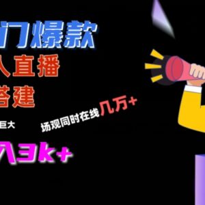 冷门爆款无人直播间手把手搭建 高流量变现玩法全解析-雨叶虚拟资源网