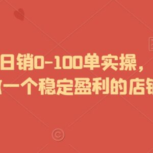 2024拼多多日销0-100单实操教程 新手打造稳定盈利店铺指南-雨叶虚拟资源网
