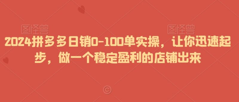 2024拼多多日销0-100单实操教程 新手打造稳定盈利店铺指南