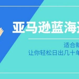 亚马逊新手卖家蓝海选品实操课 小白轻松打造日出几十单小爆款-雨叶虚拟资源网