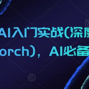 零基础AI深度学习+Pytorch实战入门 系统必备基础课程-雨叶虚拟资源网