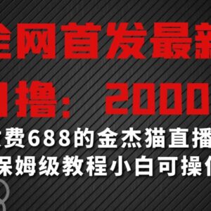 金杰猫互动直播间保姆级搭建教程 小白零门槛假期可操作变现-雨叶虚拟资源网