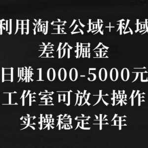 淘宝公域+私域差价掘金实操教程 工作室可放大长期稳定盈利-雨叶虚拟资源网
