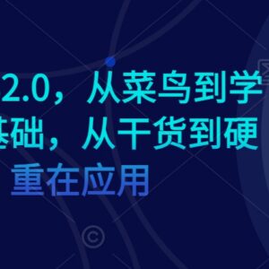 AI学习社群2.0全阶教学 零基础入门到精通 侧重实战落地-雨叶虚拟资源网