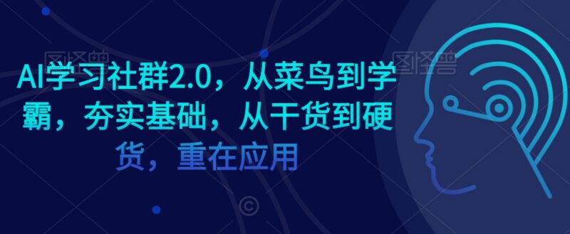 AI学习社群2.0全阶教学 零基础入门到精通 侧重实战落地