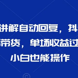 抖音24小时AI无人直播带货玩法 小白易操作单场收益可达数千元-雨叶虚拟资源网