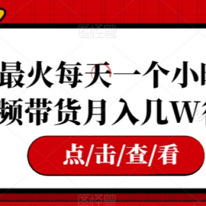 每天1小时可操作借鉴式视频带货 普通人低门槛增收实操指南-雨叶虚拟资源网