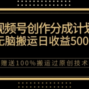 视频号分成计划搭配私域双重变现 无技术门槛实操全攻略-雨叶虚拟资源网