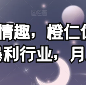 成人用品私域运营怎么做 低门槛高盈利项目玩法全揭秘-雨叶虚拟资源网