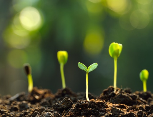 雨叶虚拟资源网-雨叶虚拟资源网专注于网赚项目与虚拟资源分享，精选各类副业项目、实战教程与工具资源，助力个人低成本开启副业，实现信息差变现与持续收益。