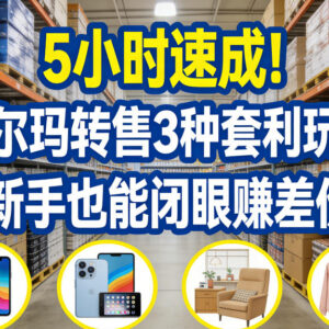 5小时沃尔玛转售3种套利玩法教程 新手零基础可上手赚差价-雨叶虚拟资源网