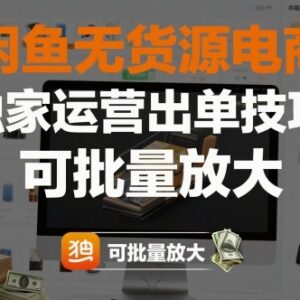 闲鱼无货源电商运营出单技巧 可批量放大的实操教程-雨叶虚拟资源网