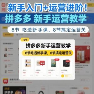 拼多多从新手入门到运营进阶全教程 16节干货课覆盖运营全流程-雨叶虚拟资源网