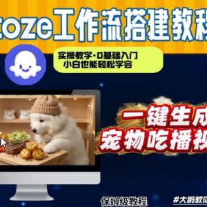 用Coze工作流做宠物吃播视频 0基础从零到一搭建全流程演示-雨叶虚拟资源网