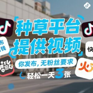 种草视频代发项目揭秘：无粉丝要求发布即可获固定收益-雨叶虚拟资源网