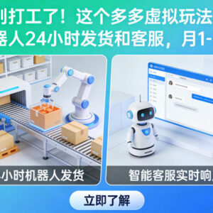 拼多多虚拟电商低门槛玩法 24小时自动发货适合普通人副业增收-雨叶虚拟资源网