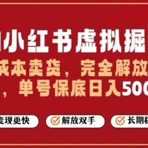 2026年AI小红书虚拟电商托管项目 单账号日入500+实操指南-雨叶虚拟资源网