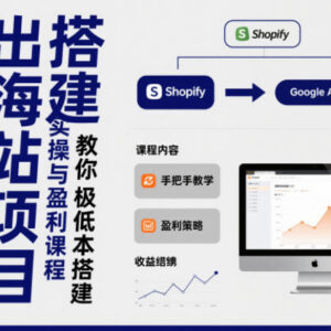 小淘出海站搭建实操盈利课程 极低成本搭建可获被动收益海外站-雨叶虚拟资源网