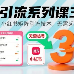 小红书矩阵引流技术实操教程 无需起号的高效导流方法-雨叶虚拟资源网