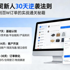 外贸新人30天从0到1进阶指南 AI+社媒获客拿订单实操教程-雨叶虚拟资源网