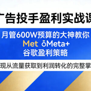 Meta谷歌广告投手盈利实战课 月管600W预算大神教流量到转化全流程-雨叶虚拟资源网
